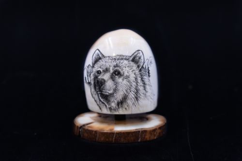 BEAR SCRIMSHAW